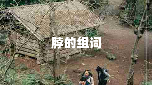 脖的組詞