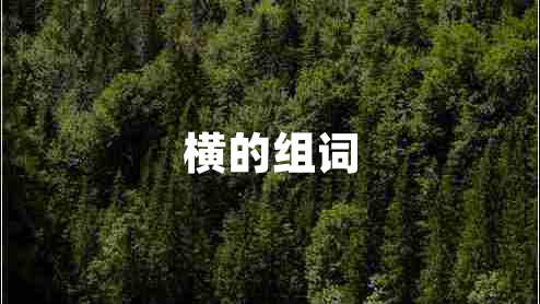 橫的組詞
