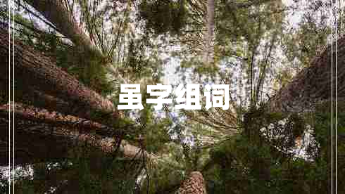 雖字組詞