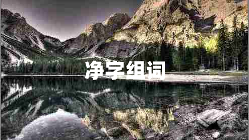 凈字組詞