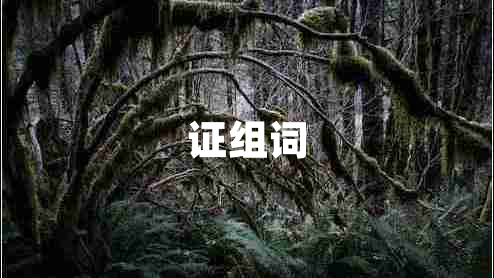 證組詞