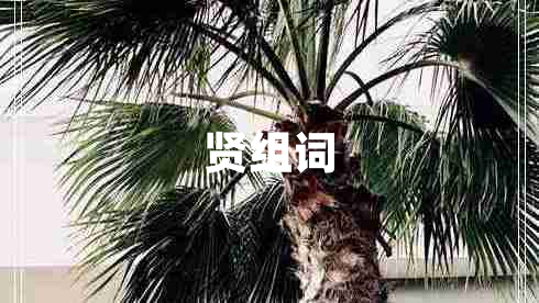 賢組詞