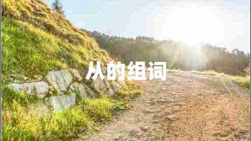 從的組詞