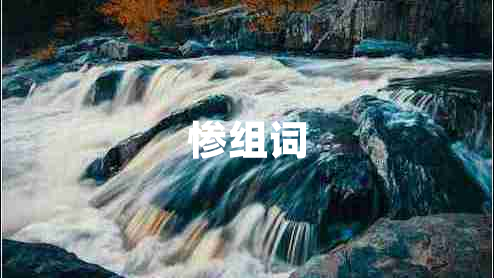 慘組詞