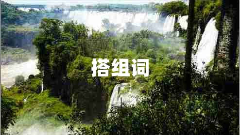搭組詞