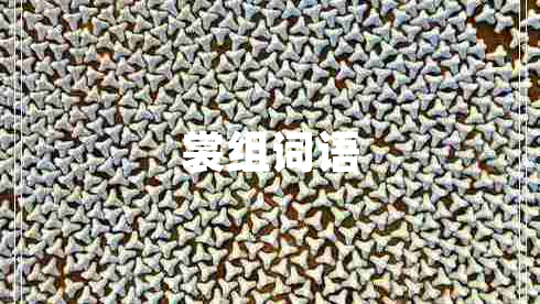 裳組詞語(yǔ)