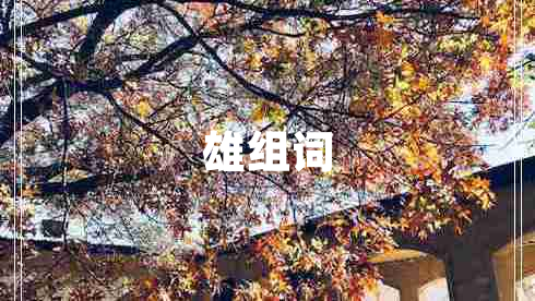 雄組詞