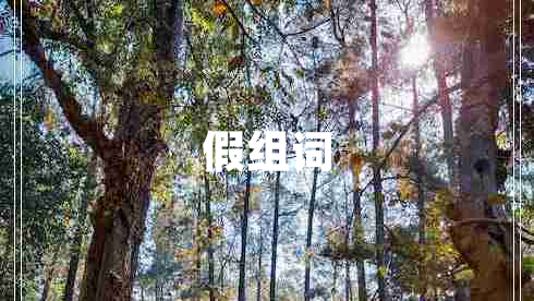 假組詞