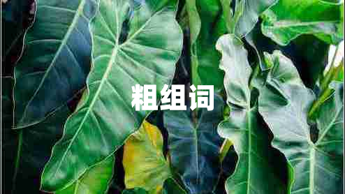 粗組詞