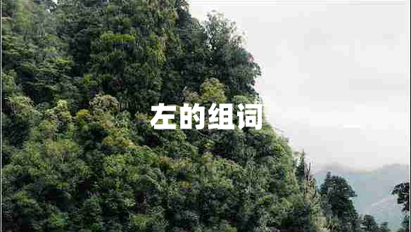 左的組詞