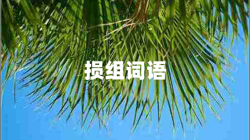 損組詞語(yǔ)
