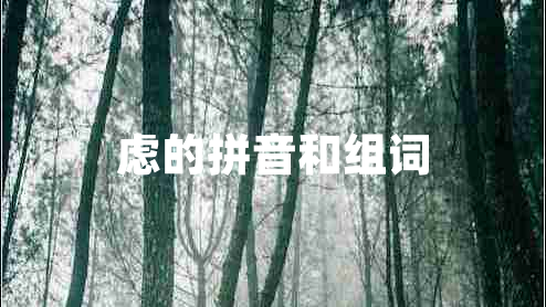 慮的拼音和組詞