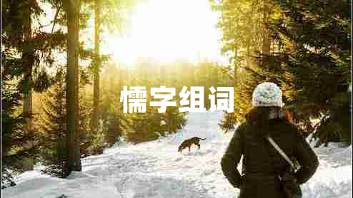 懦字組詞