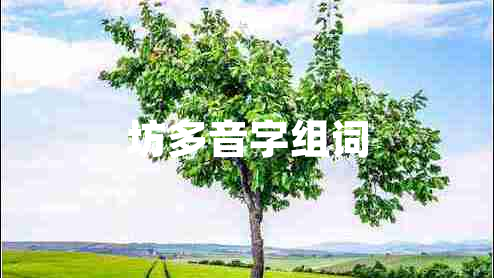 坊多音字組詞