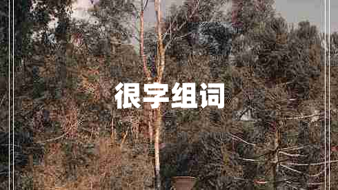 很字組詞