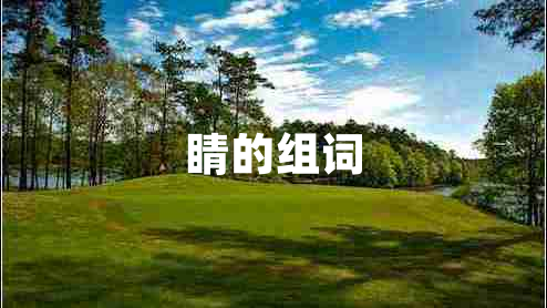 睛的組詞