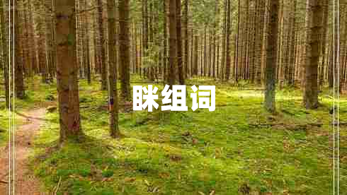 瞇組詞