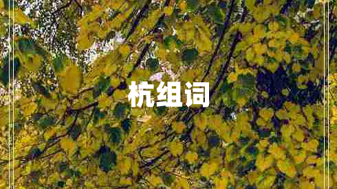 杭組詞