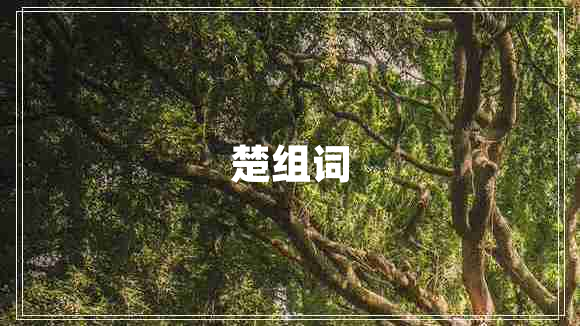 楚組詞