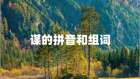 謀的拼音和組詞