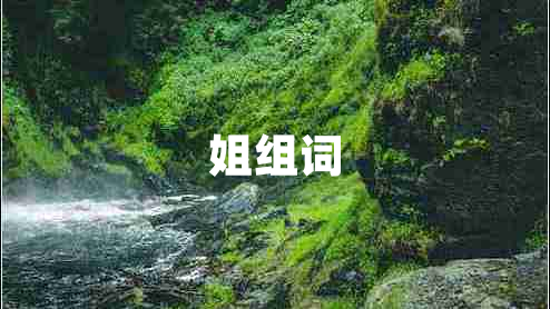 姐組詞