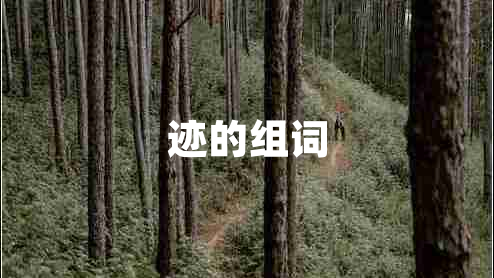 跡的組詞