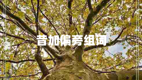 昔加偏旁組詞