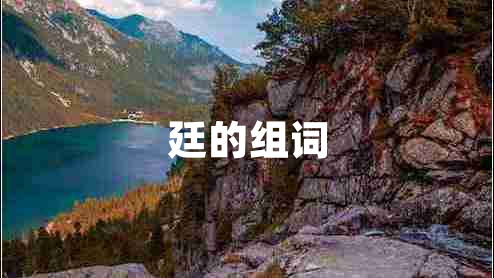 廷的組詞