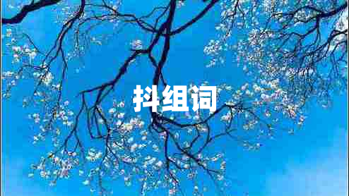 抖組詞