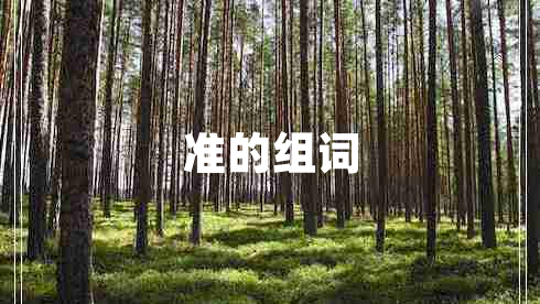 準的組詞