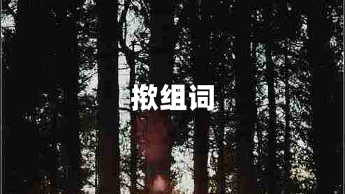 撳組詞