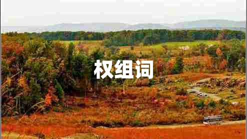 權組詞