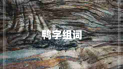 鴨字組詞