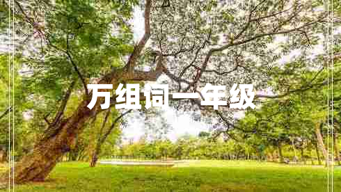 萬(wàn)組詞一年級