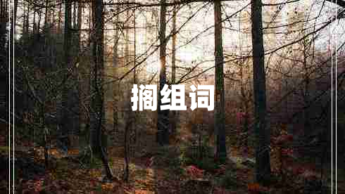 擱組詞