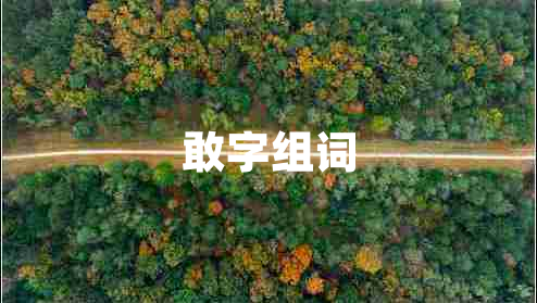 敢字組詞