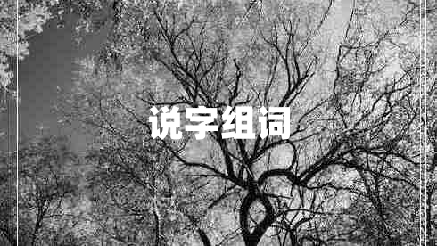說(shuō)字組詞