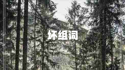壞組詞