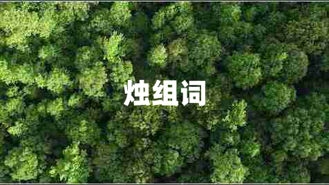 燭組詞