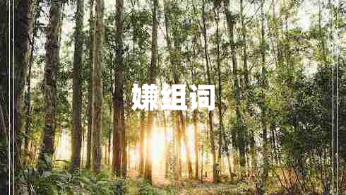 嫌組詞