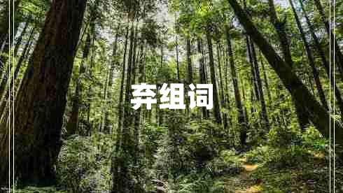 棄組詞