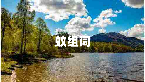 蚊組詞