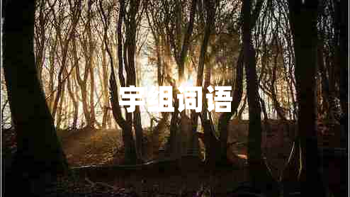 宇組詞語(yǔ)
