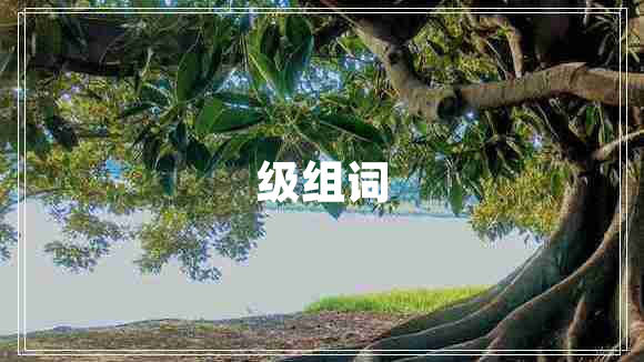 級組詞