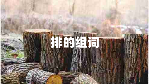 排的組詞