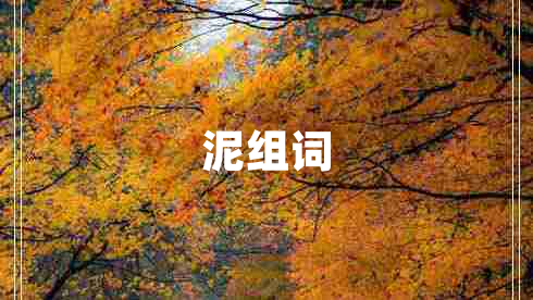 泥組詞