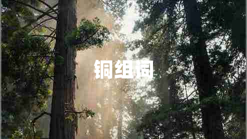 銅組詞