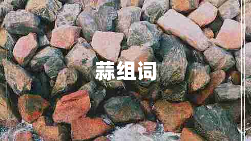蒜組詞