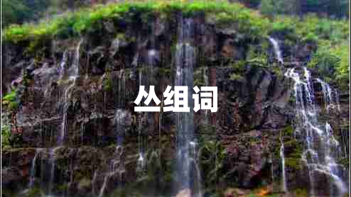 叢組詞