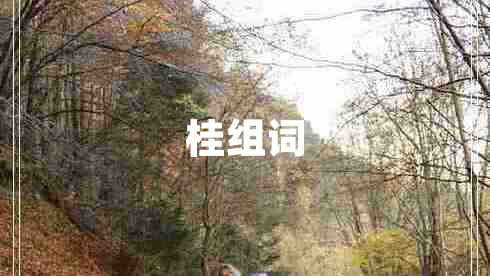 桂組詞